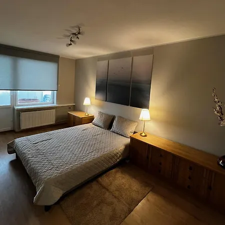 Omuligs Dzivoklitis Agenskalna Apartman