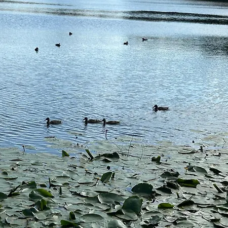Διαμέρισμα Omuligs Dzivoklitis Agenskalna *