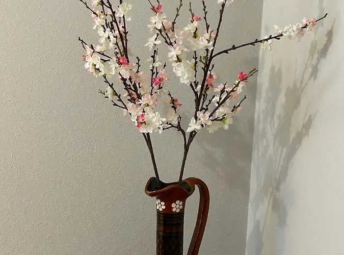 Omuligs Dzivoklitis Agenskalna Appartement