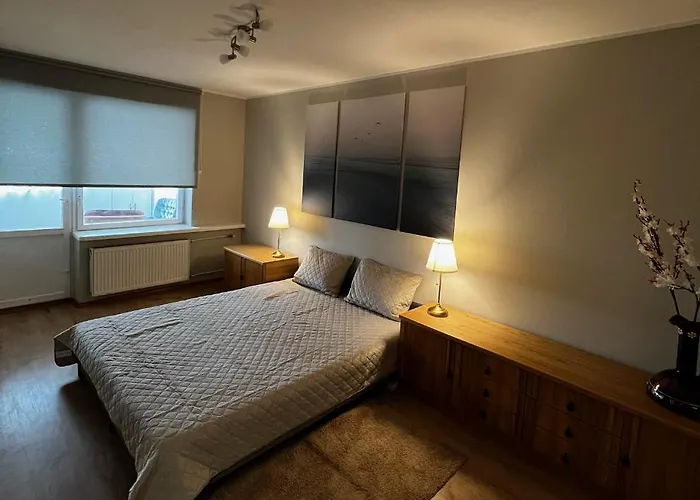 Omuligs Dzivoklitis Agenskalna Appartement