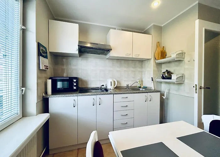 Omuligs Dzivoklitis Agenskalna *