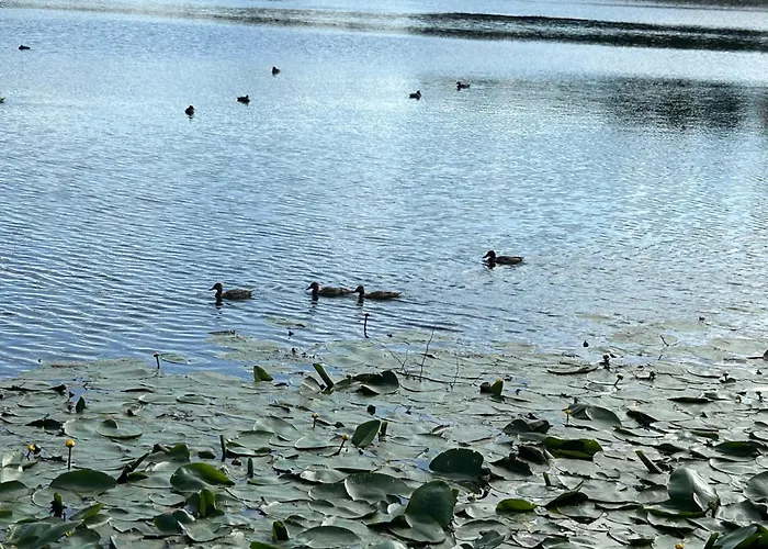 Appartement Omuligs Dzivoklitis Agenskalna *